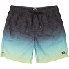 Шорты мужские Billabong All Day Faded Laybacks синие